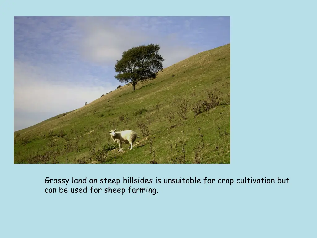 grassy land on steep hillsides is unsuitable