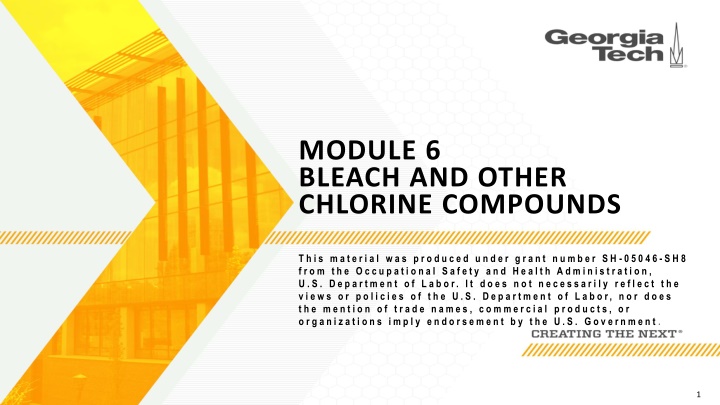 module 6 bleach and other chlorine compounds