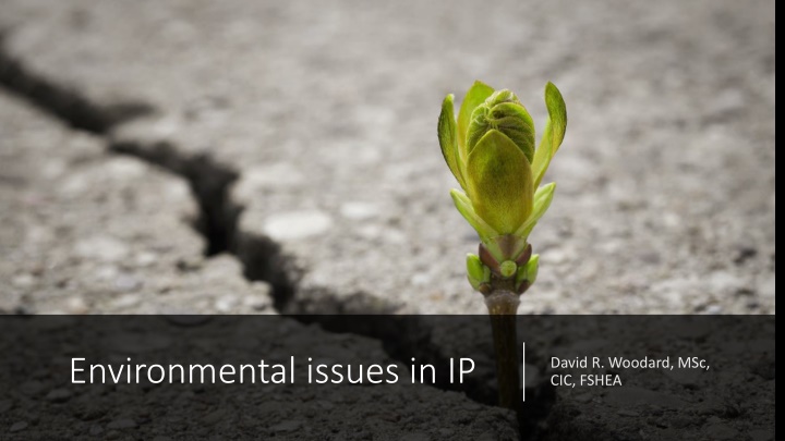 environmental issues in ip