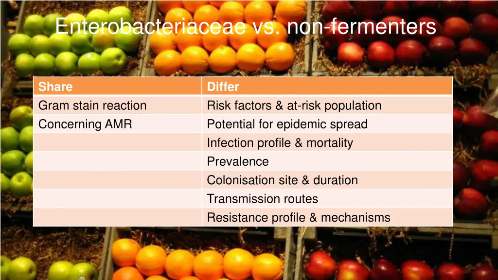 enterobacteriaceae vs non fermenters