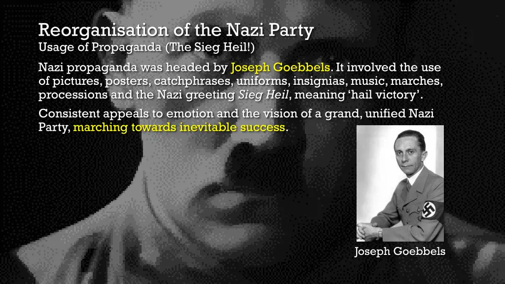 reorganisation of the nazi party usage