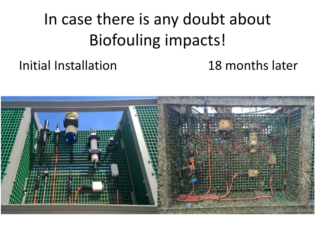 in case there is any doubt about biofouling