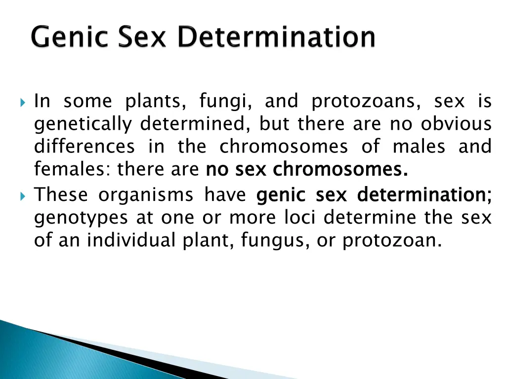 in some plants fungi and protozoans