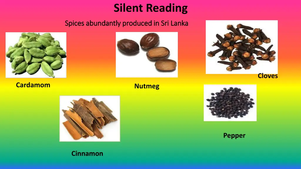 silent reading 3