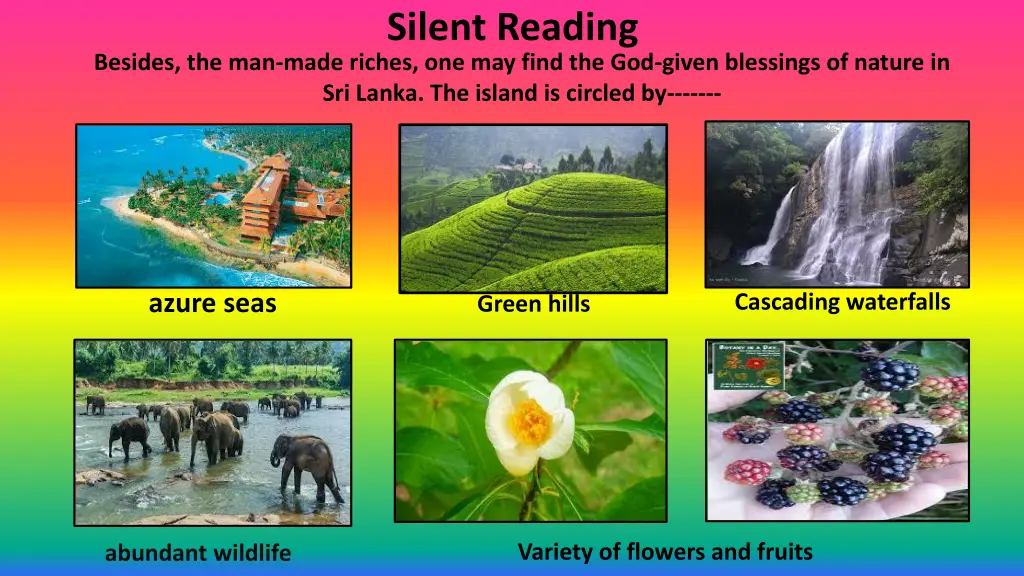 silent reading 4