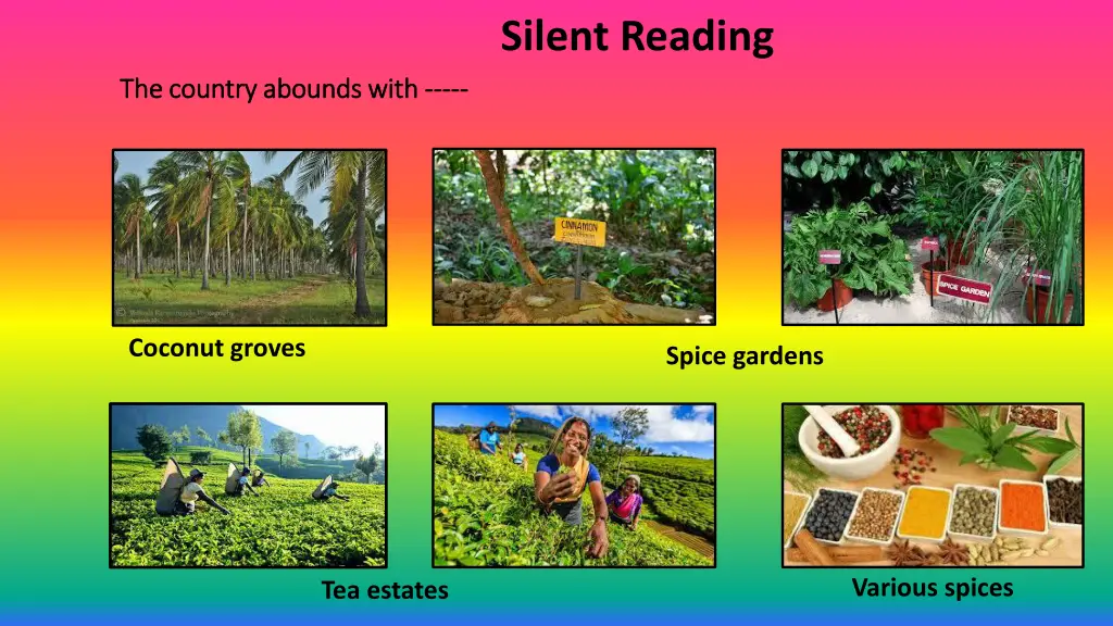 silent reading 5