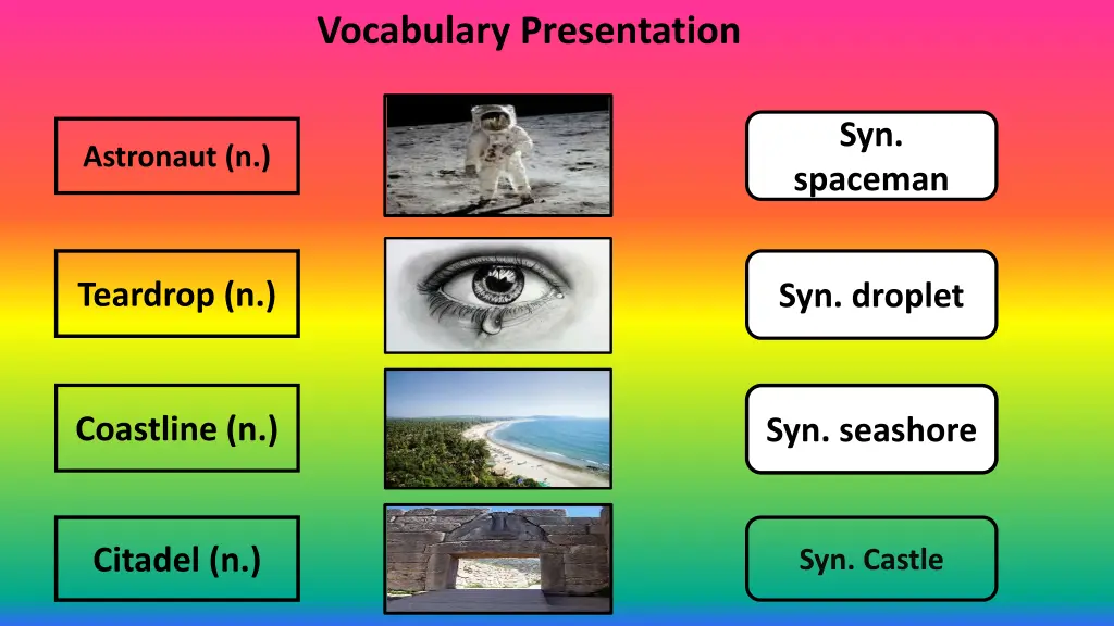 vocabulary presentation