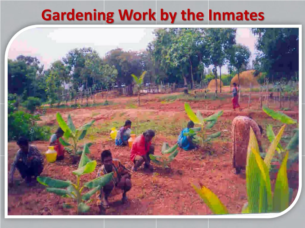 gardening work by the inmates