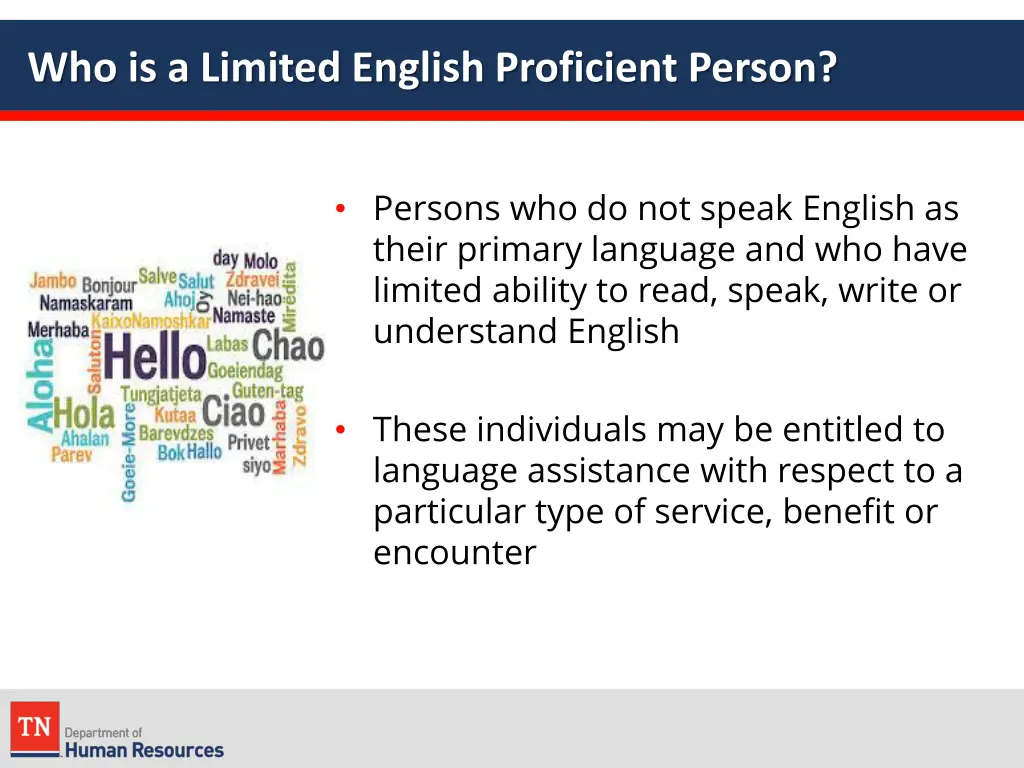 who is a limited english proficient person