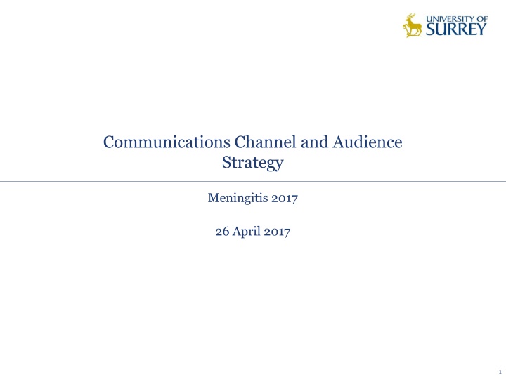 communications channel and audience strategy