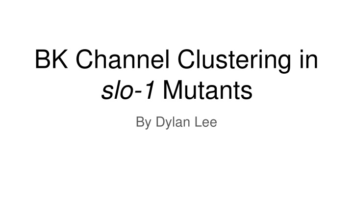 bk channel clustering in slo 1 mutants