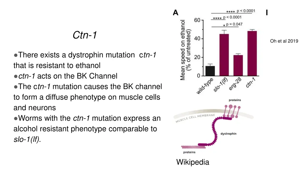 ctn 1