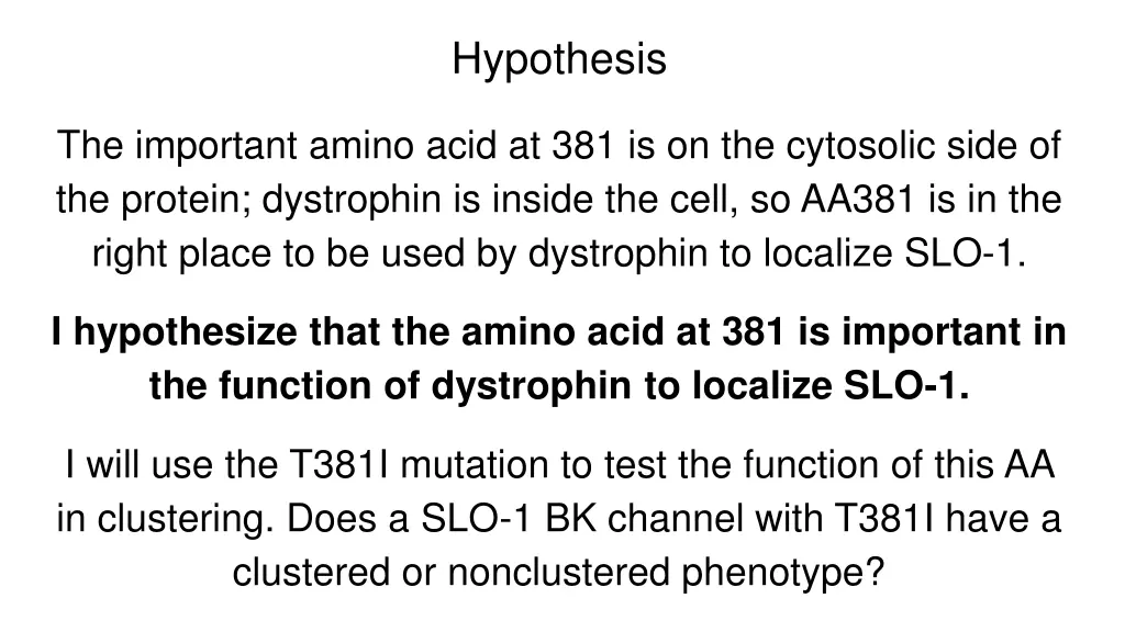 hypothesis