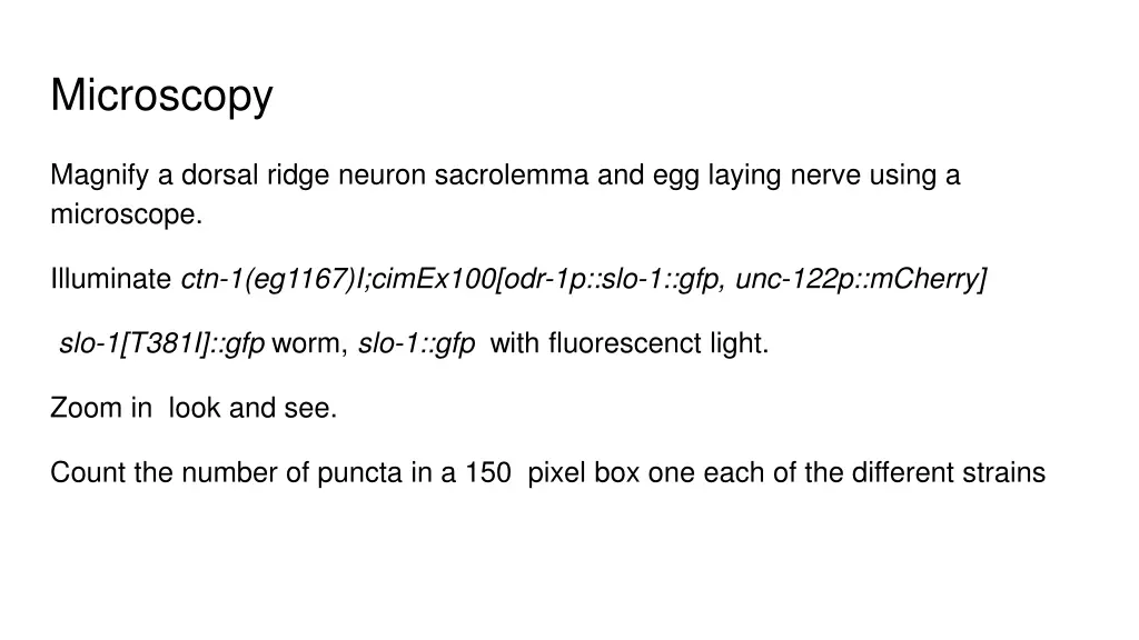 microscopy