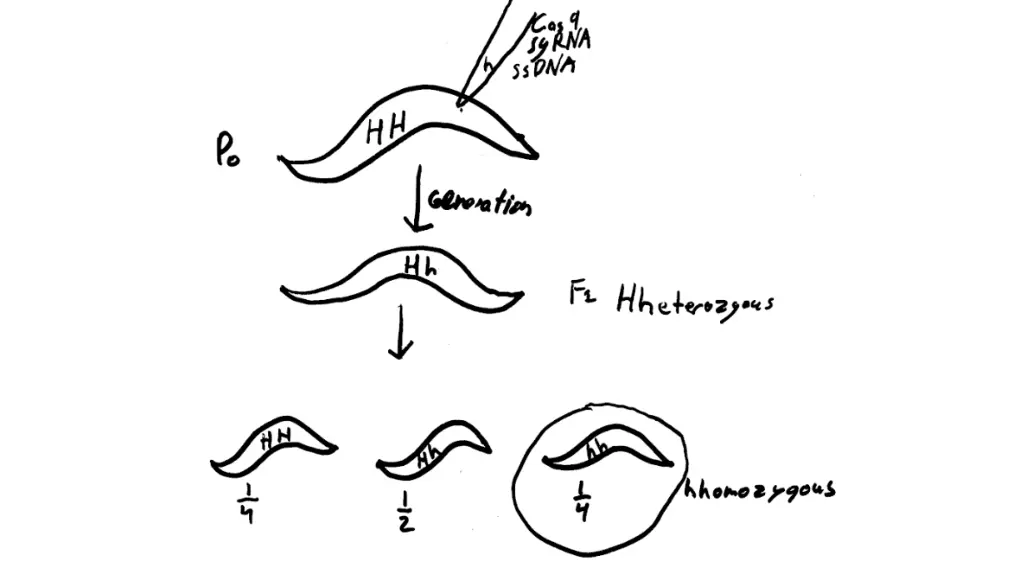 slide13