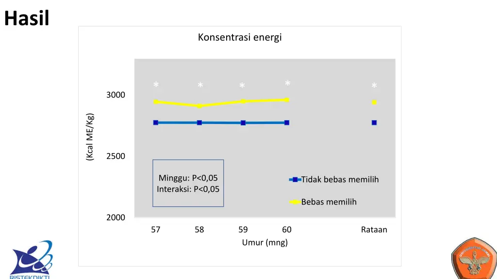 hasil 2