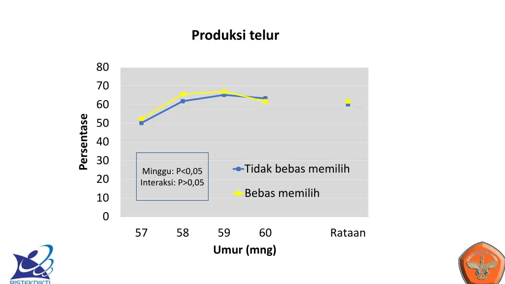 hasil 3