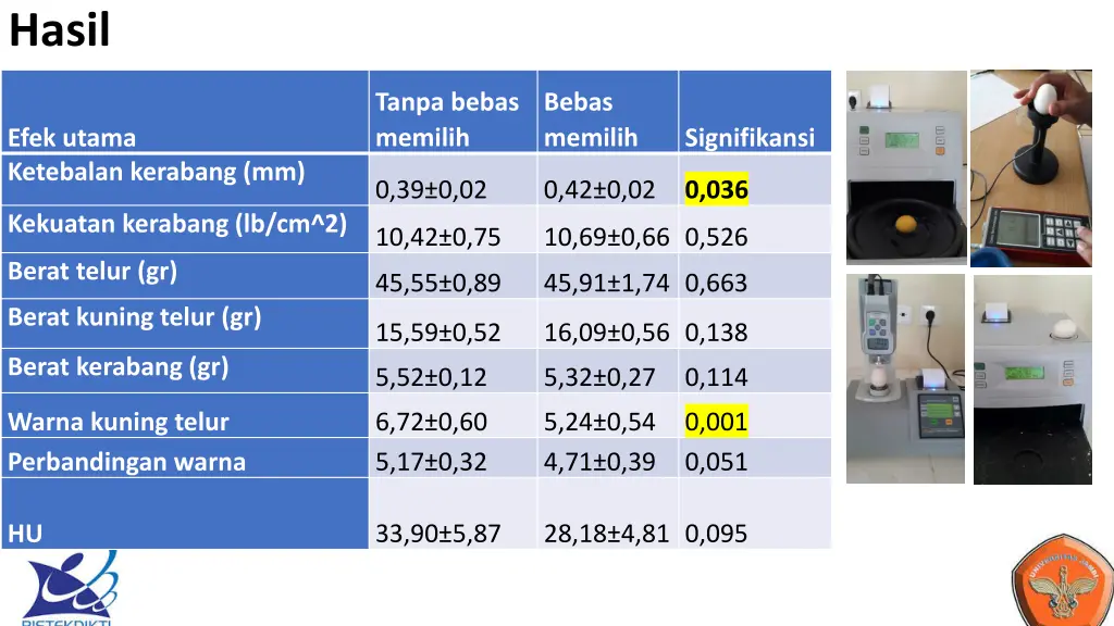 hasil 5