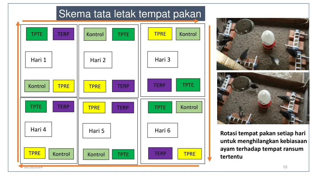 skema tata letak tempat pakan