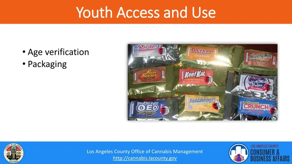 youth access and use youth access and use