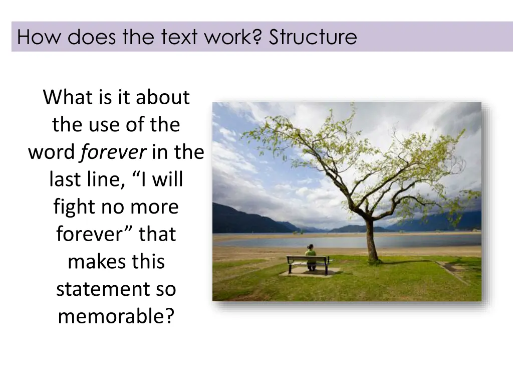 how does the text work structure 1