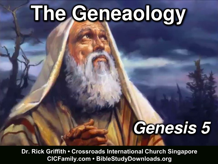 the geneaology