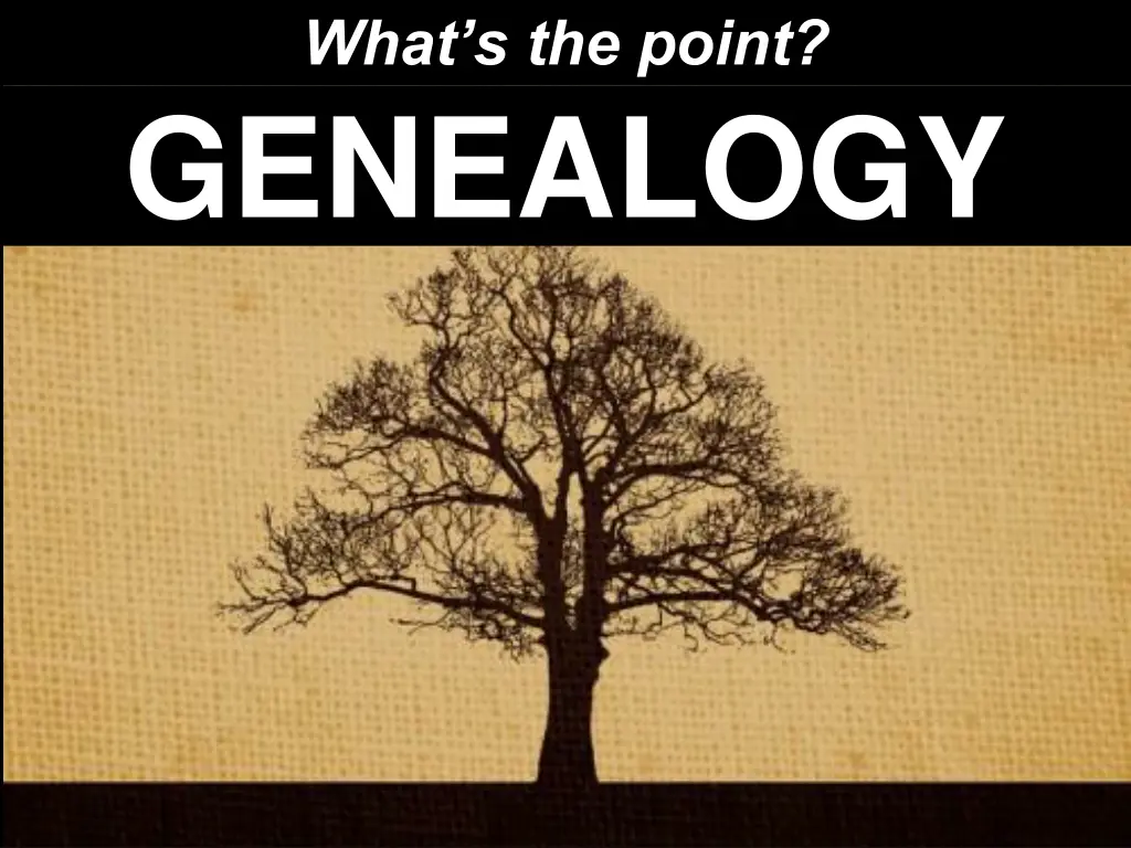 what s the point genealogy 1