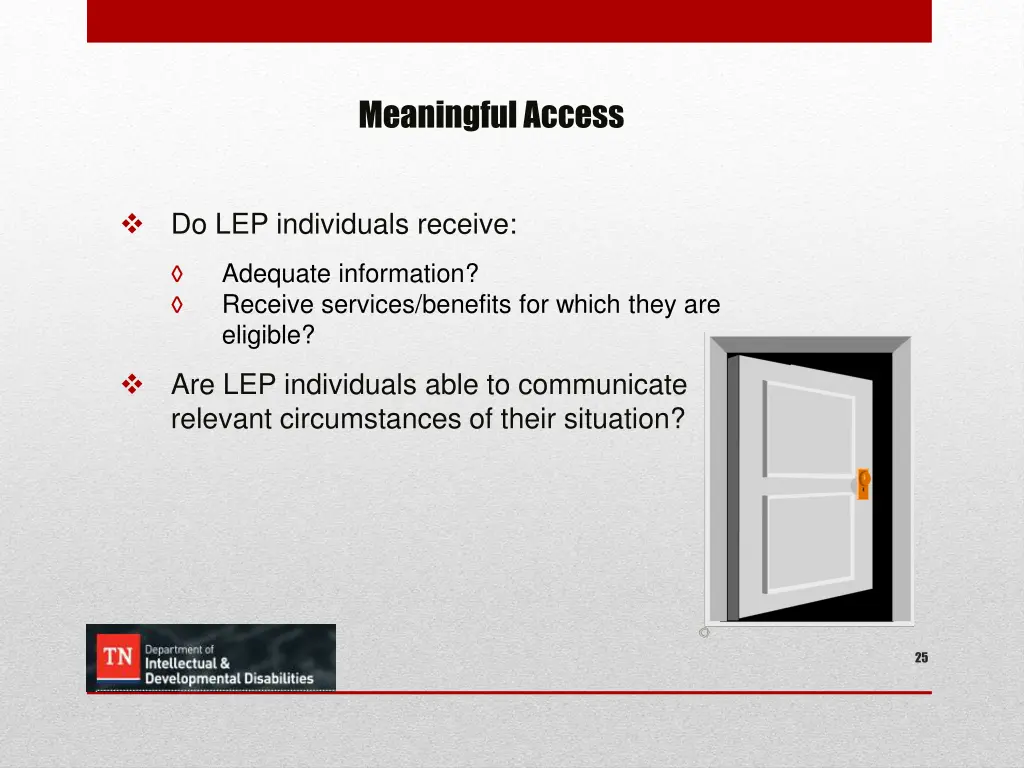 meaningful access