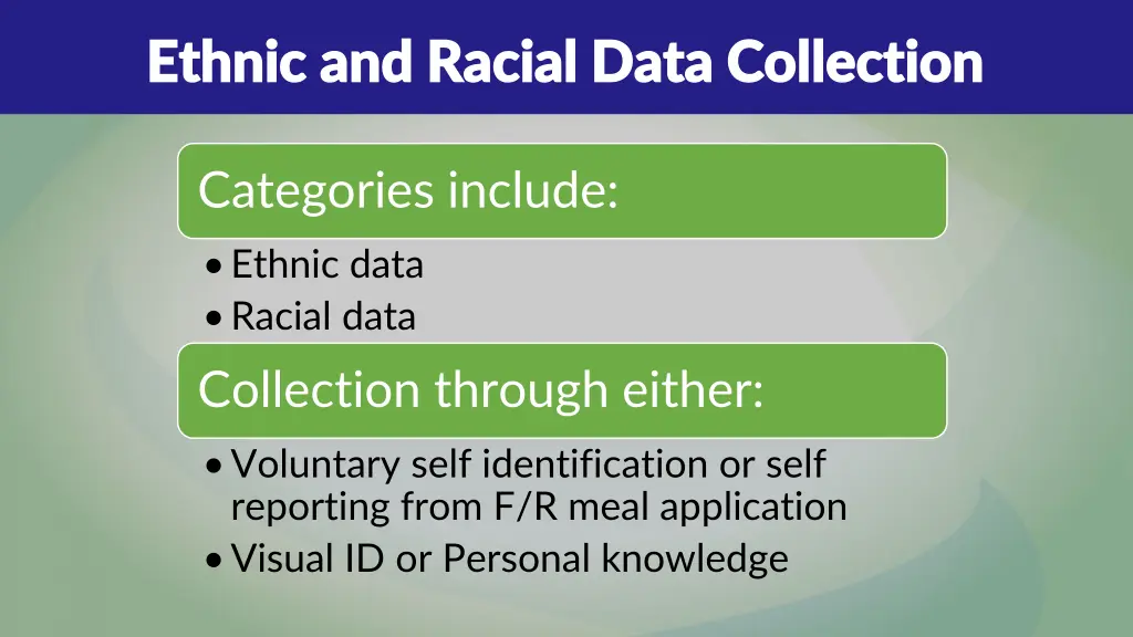 ethnic and racial data collection ethnic