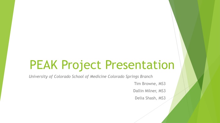 peak project presentation