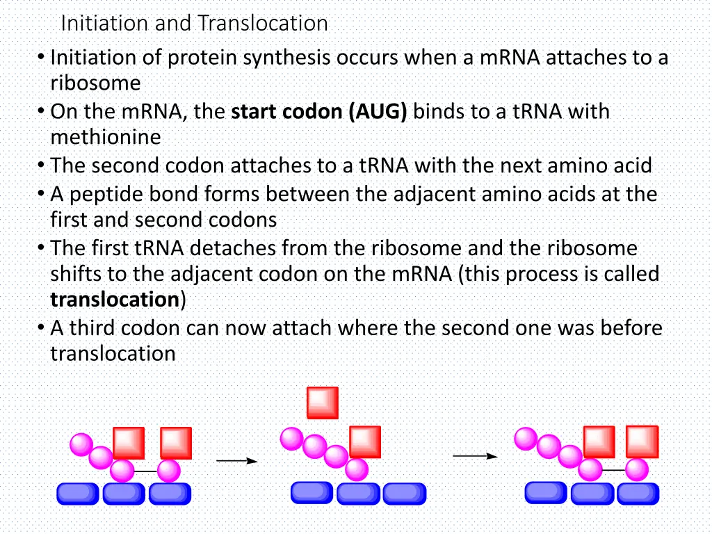 initiation and translocation initiation