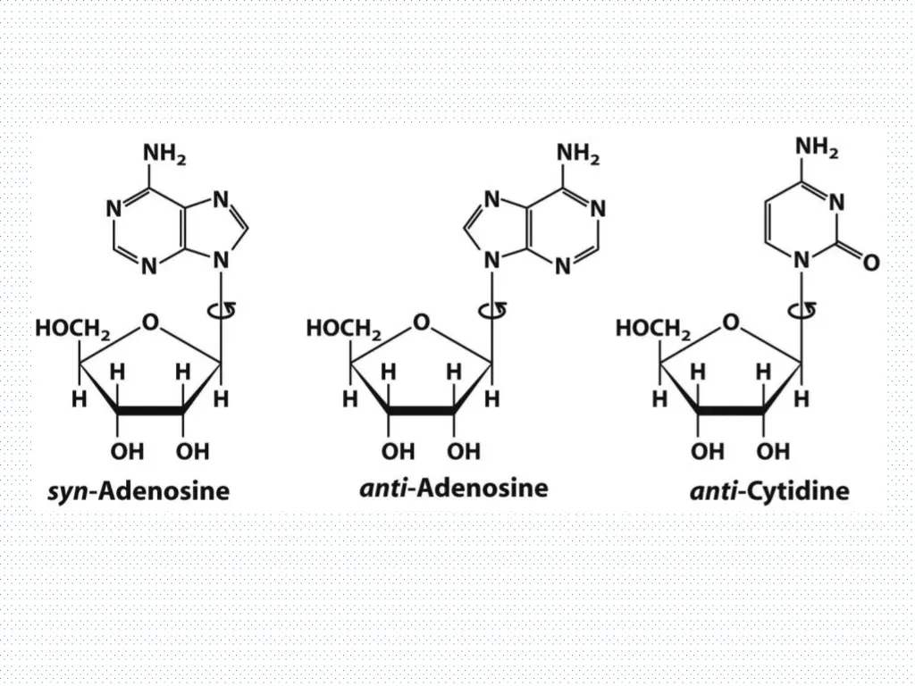 slide14