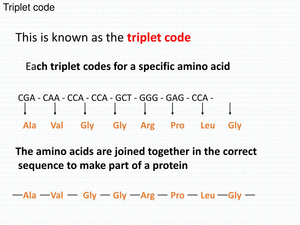 triplet code