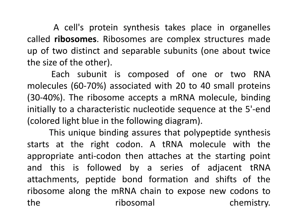 a cell s protein synthesis takes place