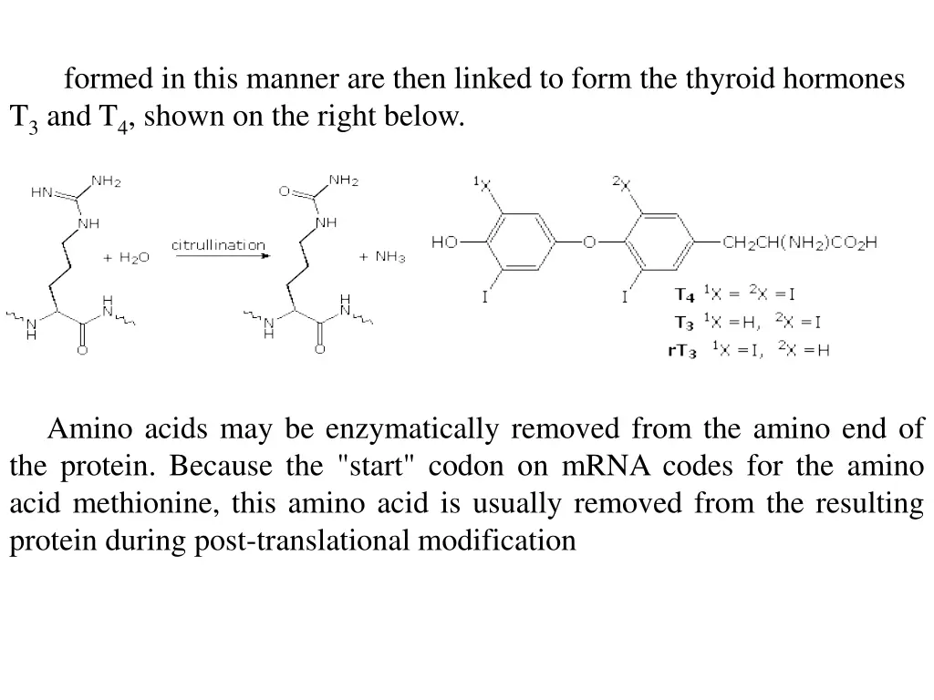 formed in this manner are then linked to form