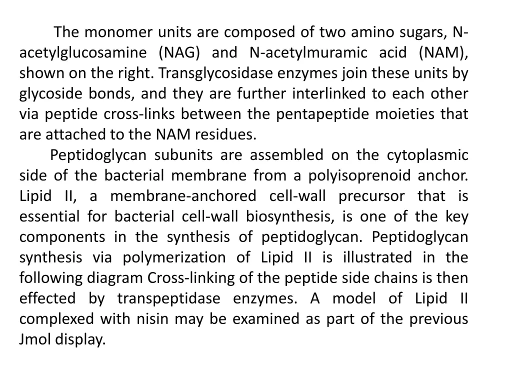 the monomer units are composed of two amino