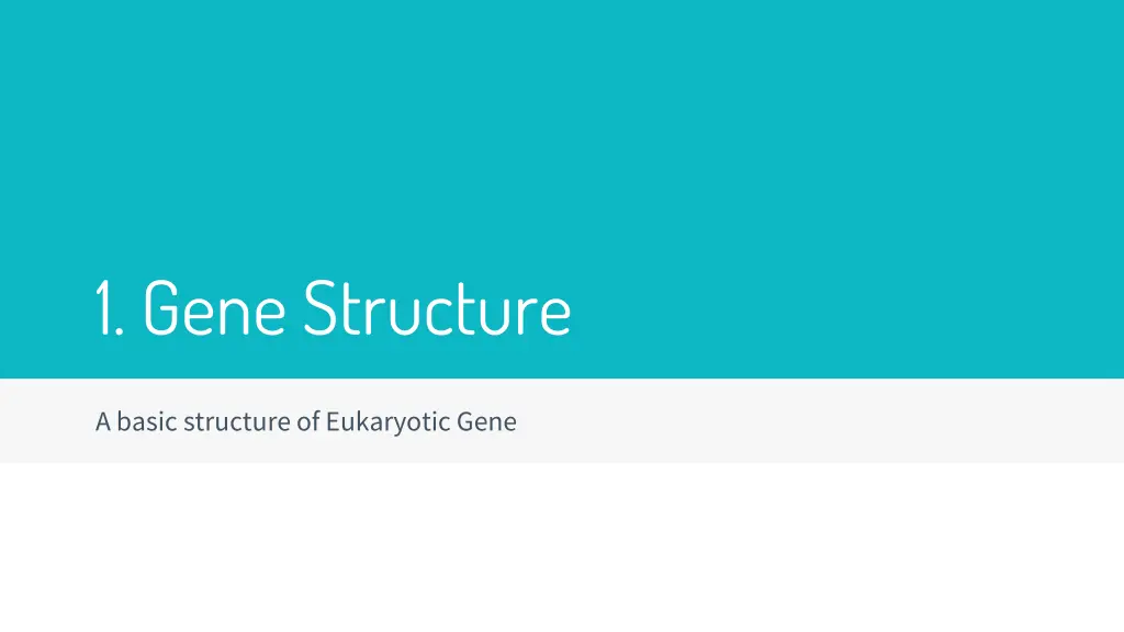 1 gene structure