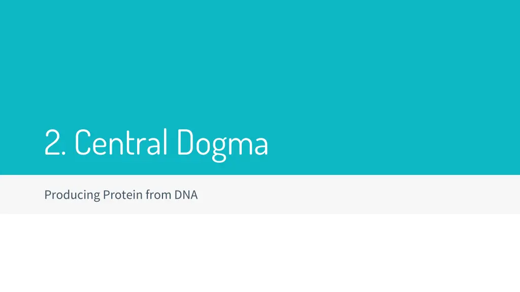 2 central dogma