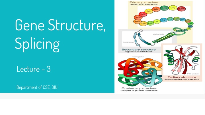 gene structure splicing