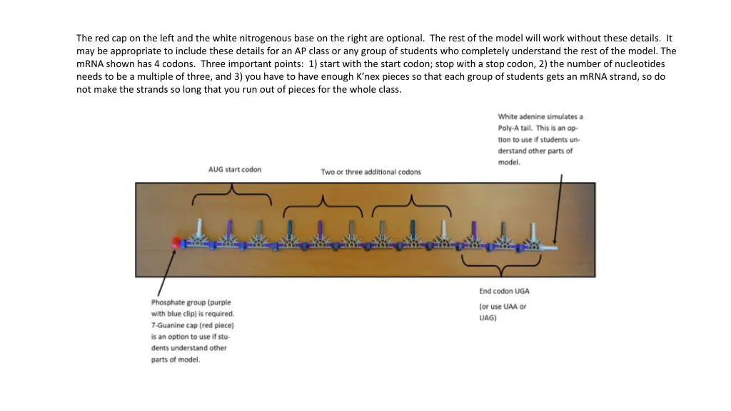 the red cap on the left and the white nitrogenous