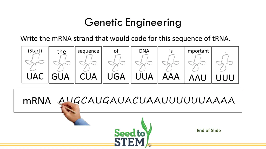 genetic engineering 2