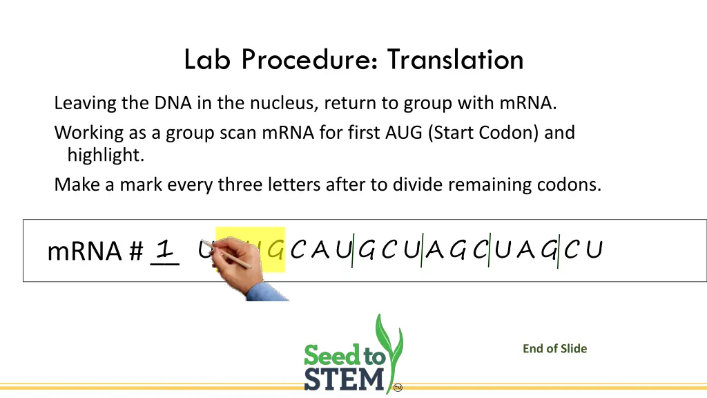 lab procedure translation