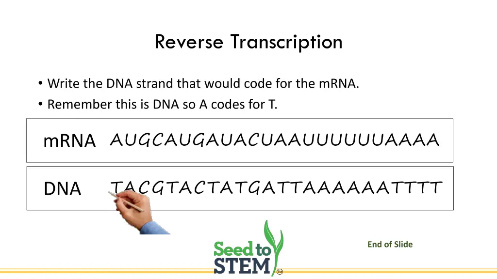 reverse transcription