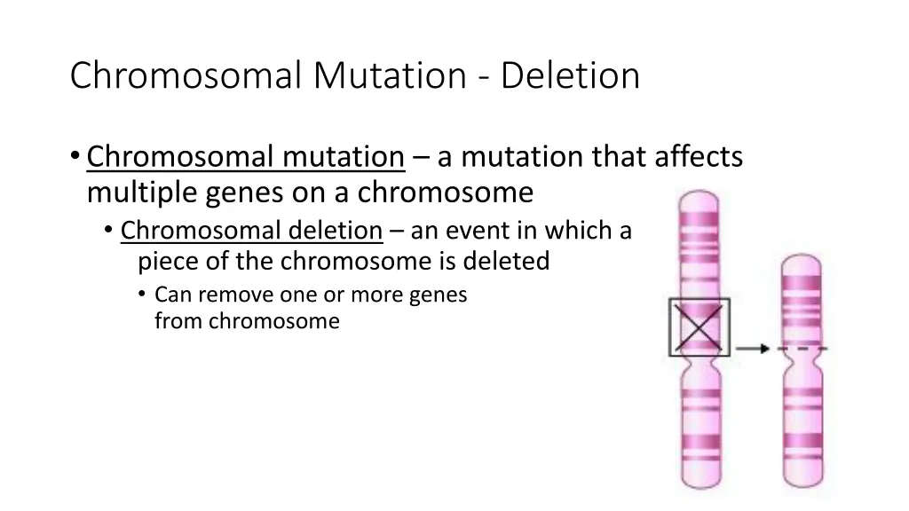 chromosomal mutation deletion