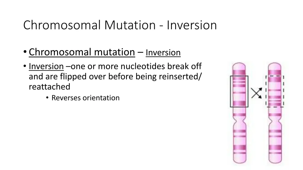 chromosomal mutation inversion