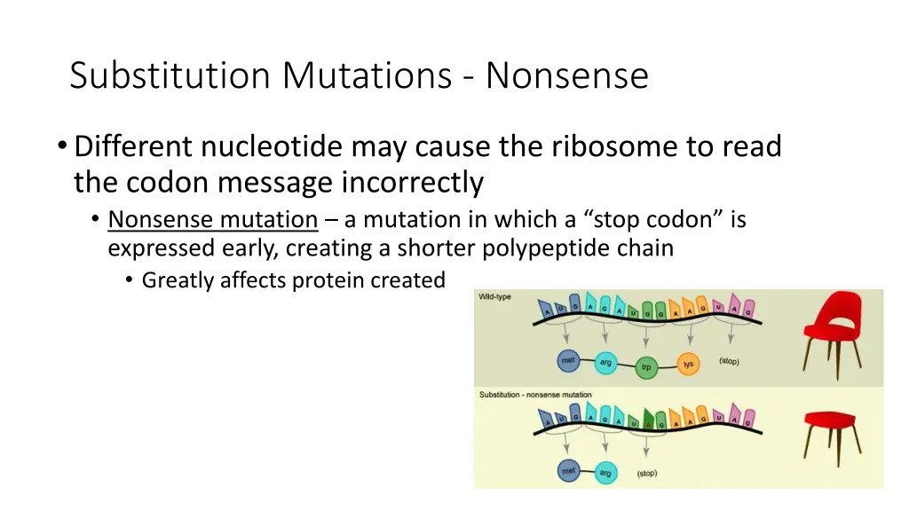 substitution mutations nonsense