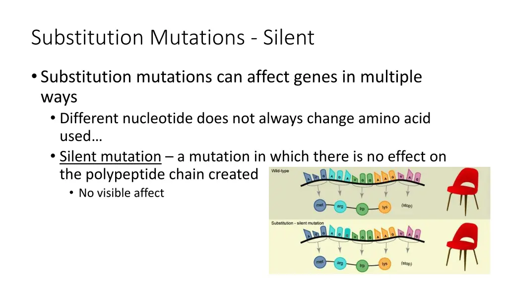 substitution mutations silent