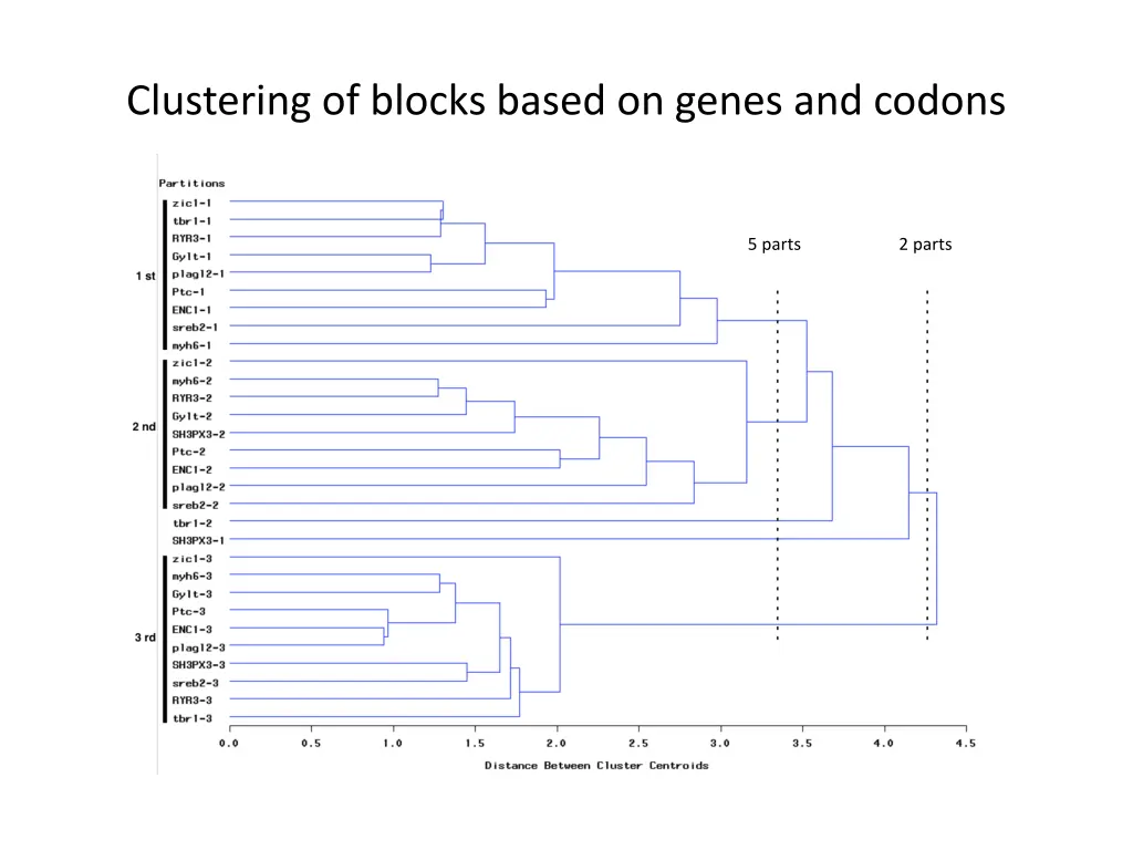 clustering of blocks based on genes and codons