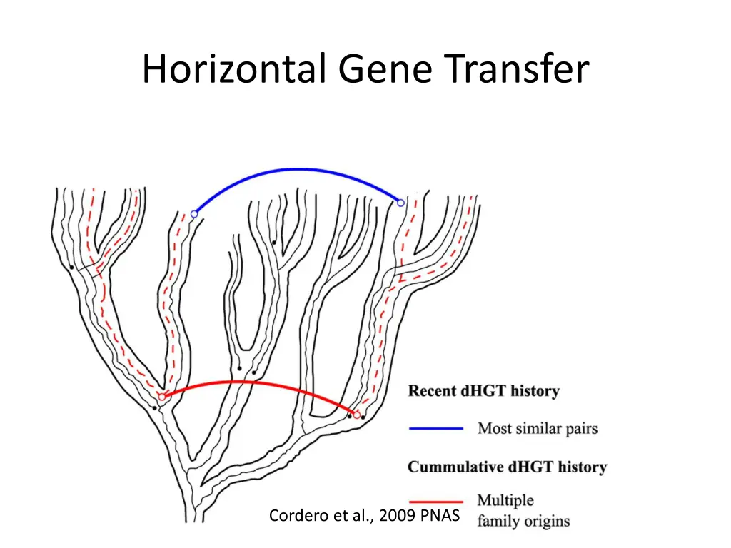 horizontal gene transfer