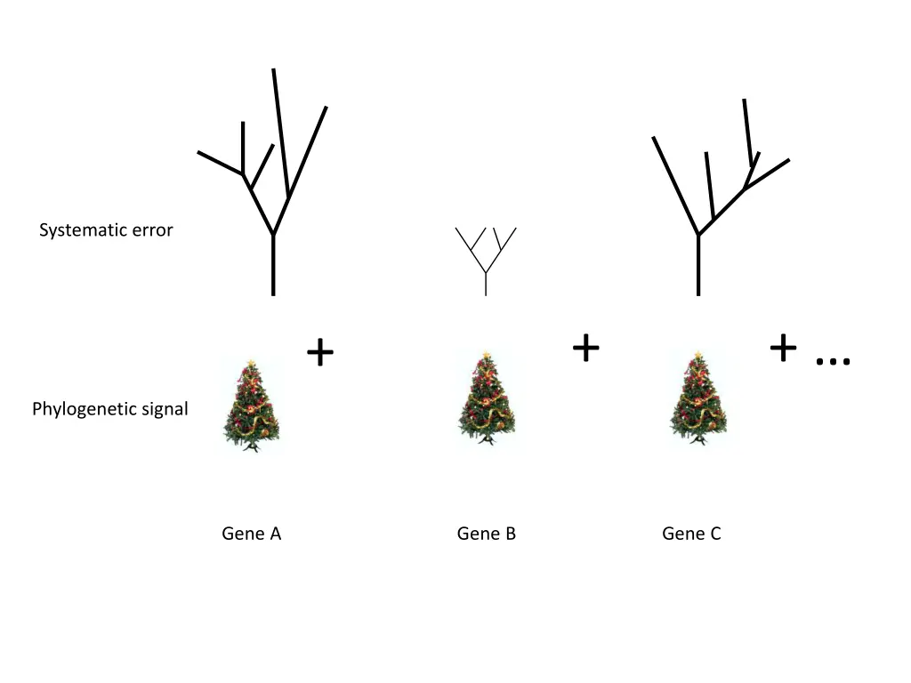 systematic error